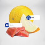 N&D Ocean para Cães Filhotes de Raças Médias e Grandes Sabor Salmão e Melão 2,5Kg