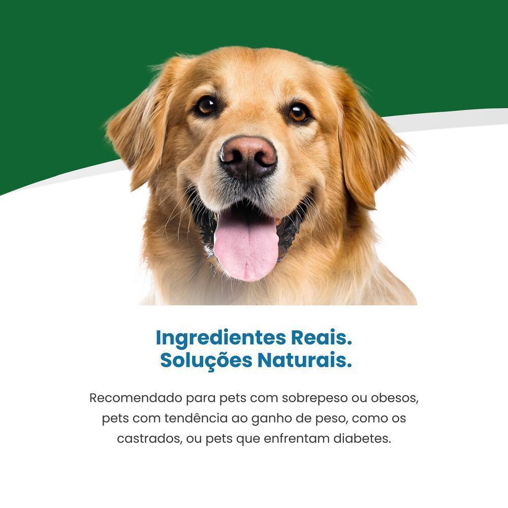 Vet Life Diabetic Fish para Cães Adultos de Todas as Raças 10,1Kg