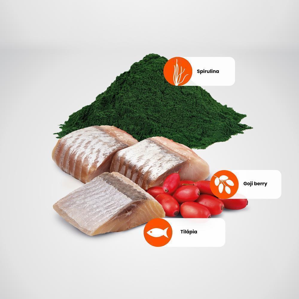 N&D Spirulina para Cães Adultos de Raças Médias e Grandes Sabor Tilápia, Spirulina e Goji Berry 10,1Kg