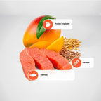 N&D Tropical para Cães Adultos de Raças Médias e Grandes Sabor Salmão, Cereais e Frutas Tropicais 2,5Kg