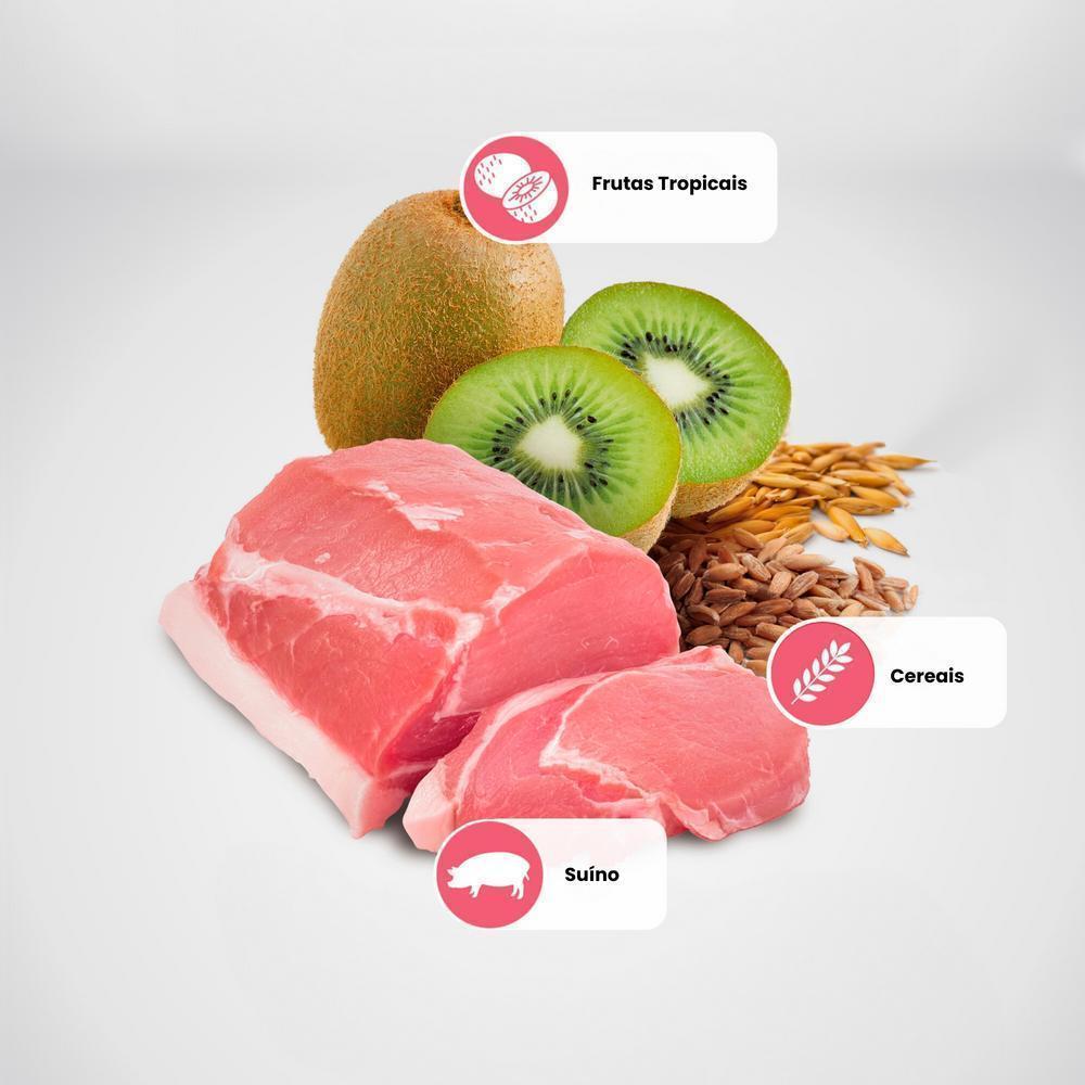 N&D Tropical para Cães Adultos de Raças Médias e Grandes Sabor Suíno, Cereais e Frutas Tropicais 2,5Kg