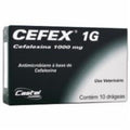 Antibiótico Castel Pharma Cefex 1000 mg