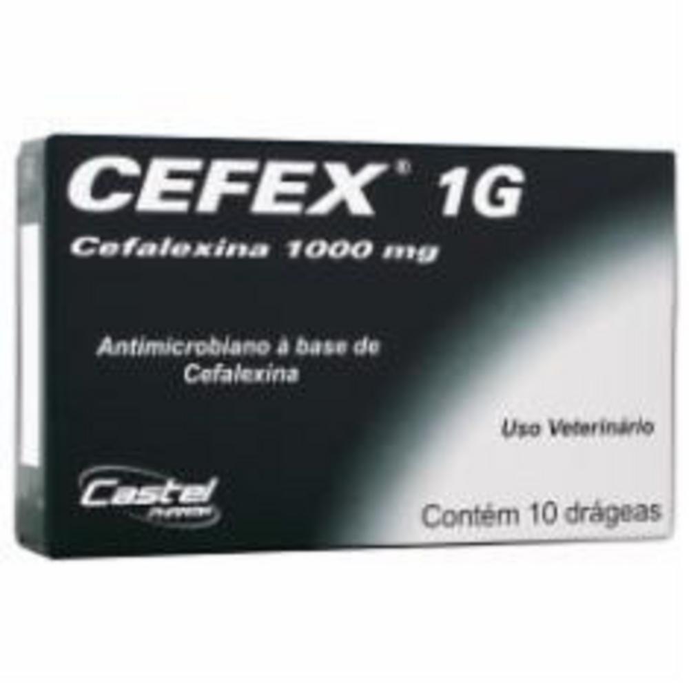 Antibiótico Castel Pharma Cefex 1000 mg
