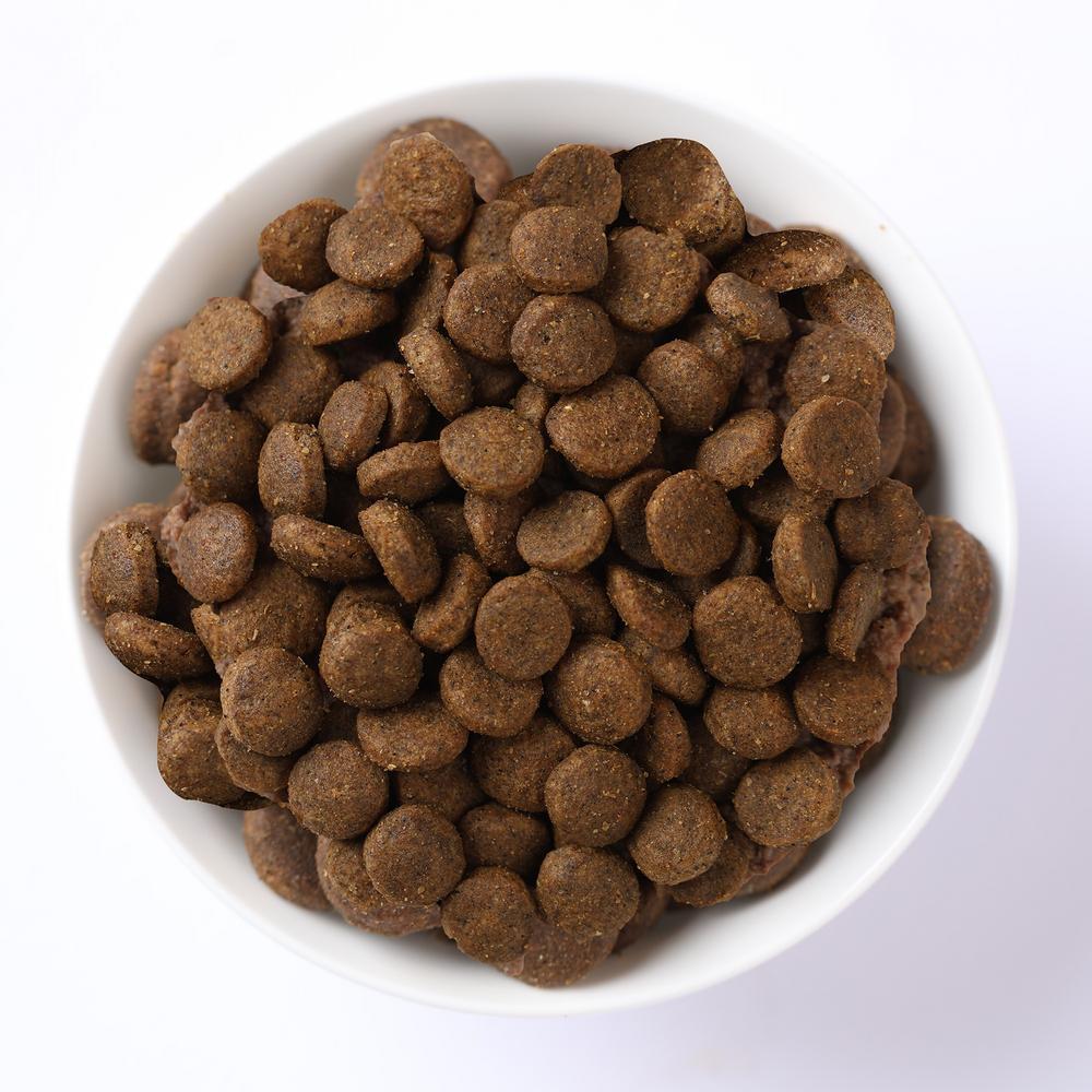 N&D Quinoa Controle de Peso para Cães Adultos de Raças Mini e Pequenas Sabor Suíno 7Kg