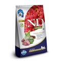 N&D Quinoa Cuidado Digestivo para Cães Adultos de Raças Mini e Pequenas Sabor Cordeiro 7Kg
