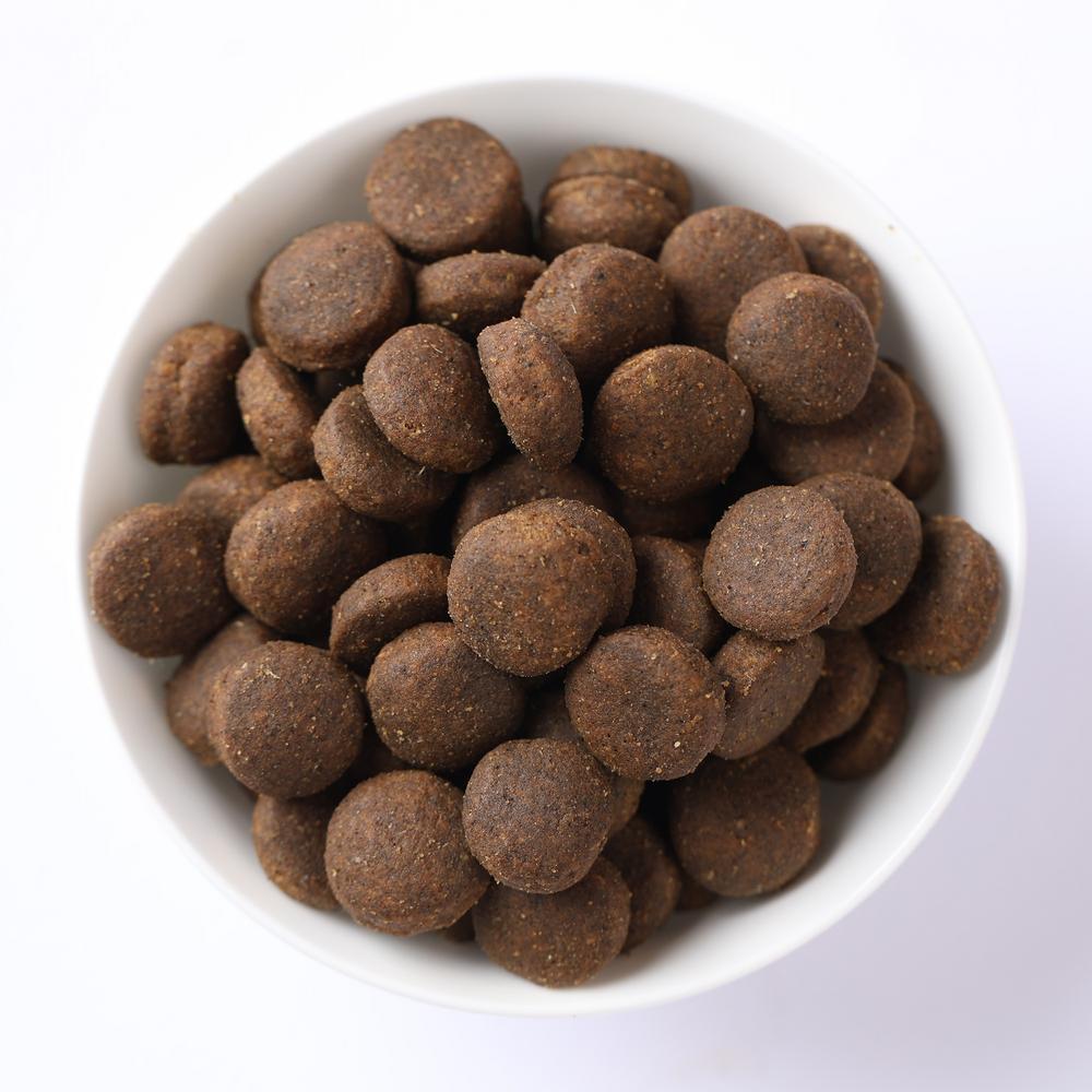 N&D Quinoa Cuidado Digestivo para Cães Adultos de Raças Mini e Pequenas Sabor Cordeiro 7Kg
