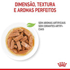 Ração Úmida Royal Canin Sachê Medium Puppy para Cães Filhotes de Porte Médio - 140 g