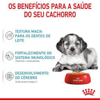 Ração Úmida Royal Canin Sachê Medium Puppy para Cães Filhotes de Porte Médio - 140 g