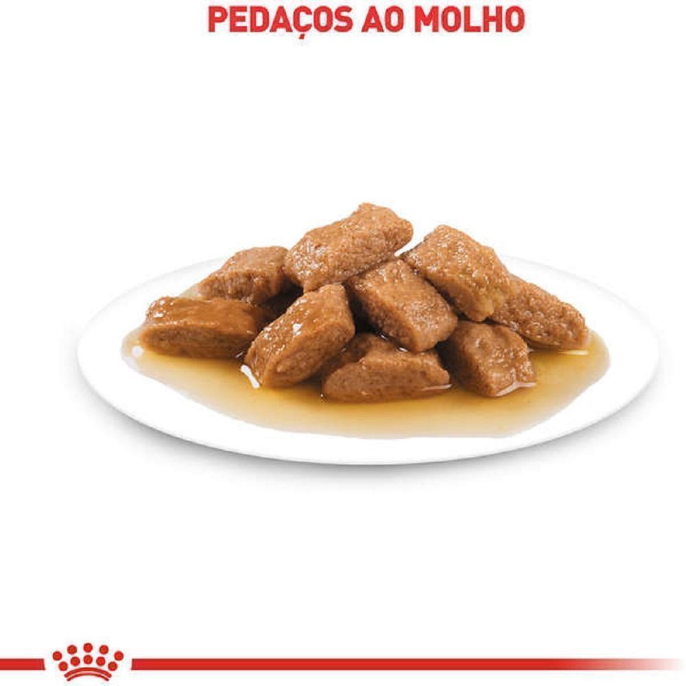 Ração Úmida Royal Canin Sachê Medium Adult Cães Adultos de Porte Médio - 140 g