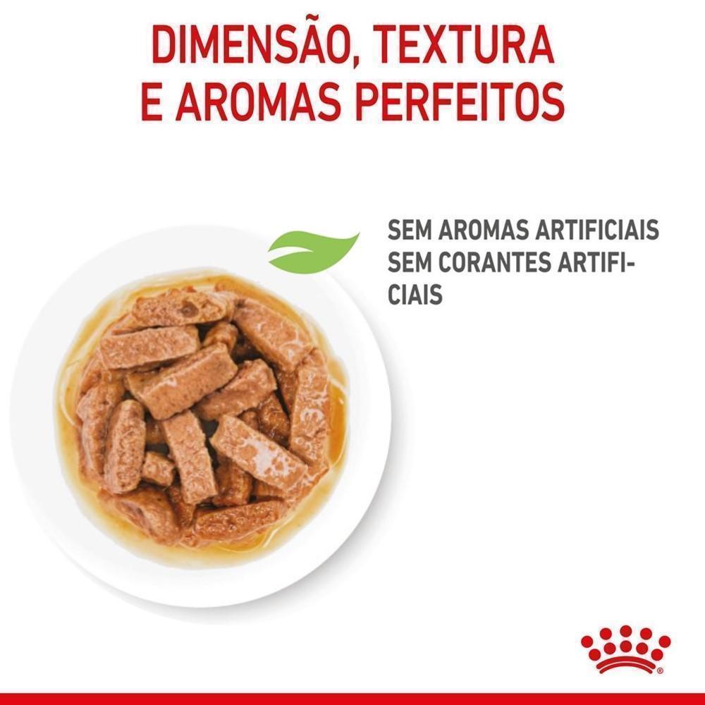 Ração Úmida Royal Canin Sachê Maxi Puppy para Cães Filhotes de Porte Grande - 140 g