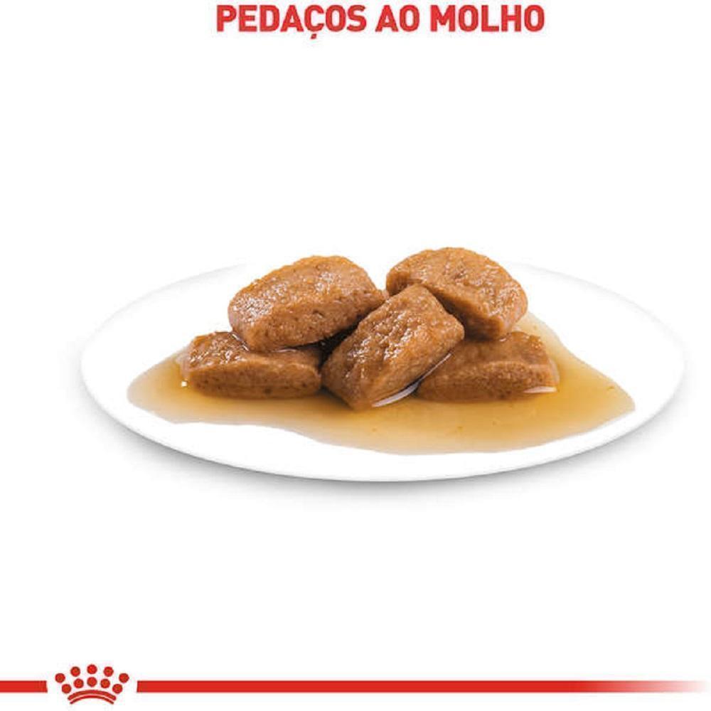 Ração Úmida Royal Canin Sachê Maxi Adult para Cães Adultos de Porte Grande - 140 g