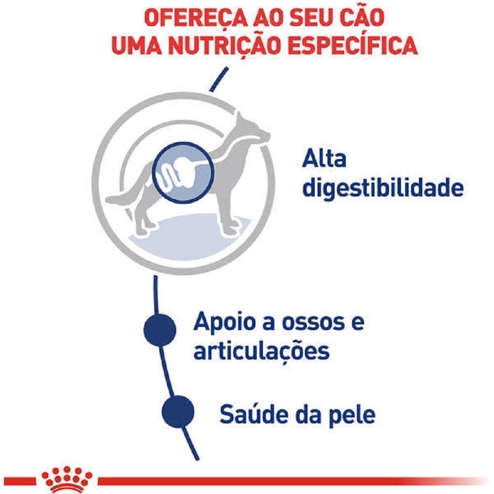 Ração Úmida Royal Canin Sachê Maxi Adult para Cães Adultos de Porte Grande - 140 g