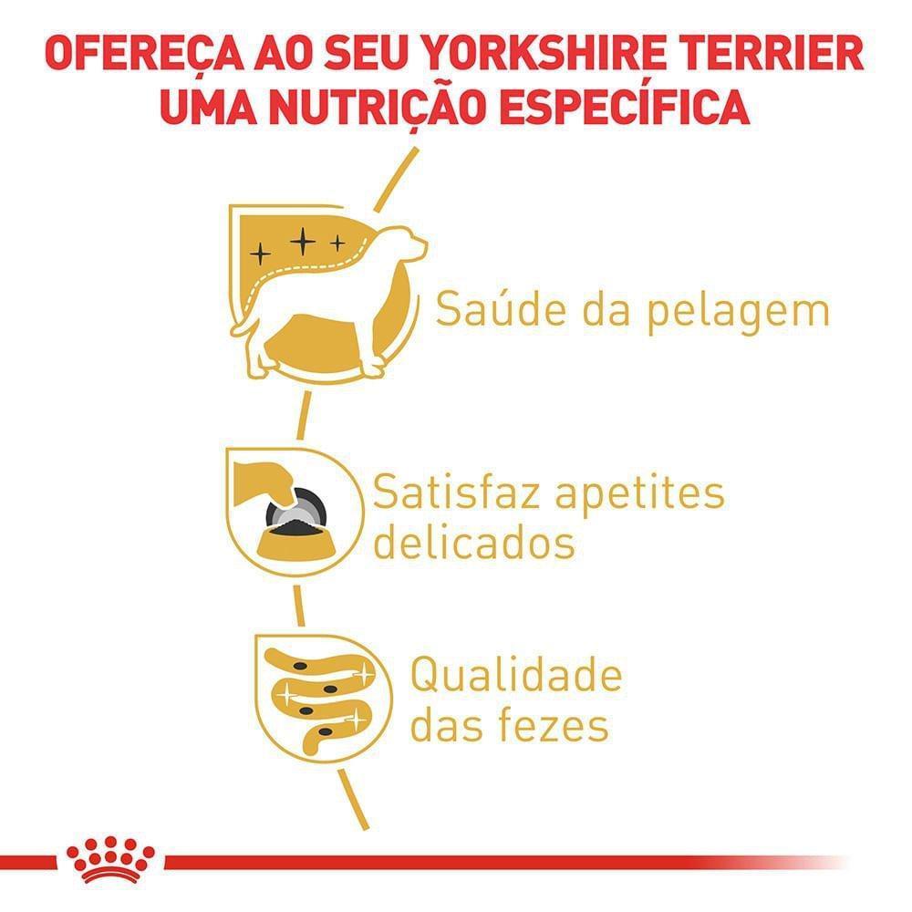 Ração Úmida Royal Canin Sachê para Cães Adultos da Raça Yorkshire - 85 g