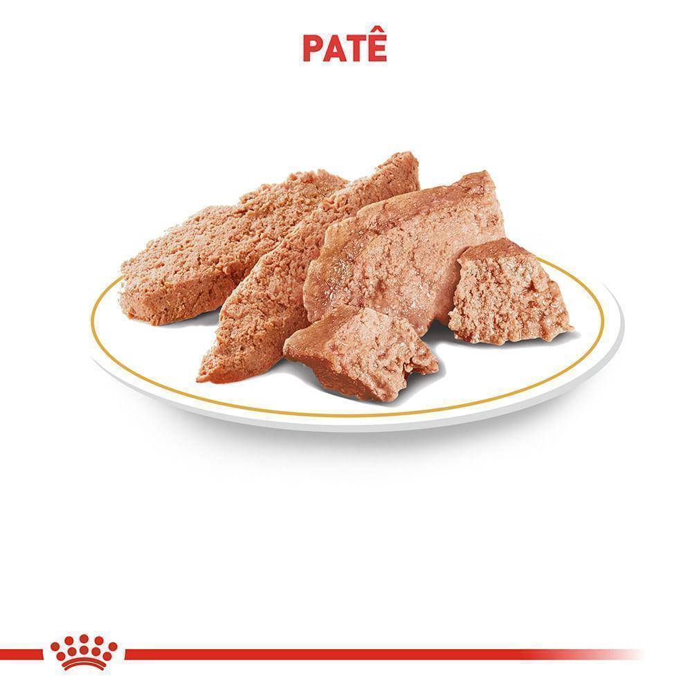 Ração Úmida Royal Canin Sachê para Cães Adultos da Raça Yorkshire - 85 g