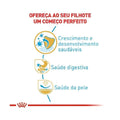 Ração Seca Royal Canin Puppy para Cães Filhotes da Raça Bulldog Francês - 1 Kg