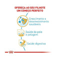 Ração Seca Royal Canin Puppy para Cães Filhotes da Raça Maltês - 1 Kg