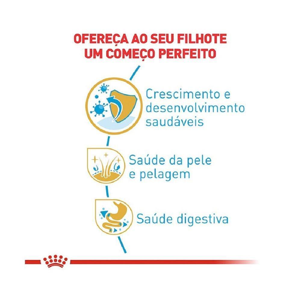 Ração Seca Royal Canin Puppy para Cães Filhotes da Raça Maltês - 1 Kg