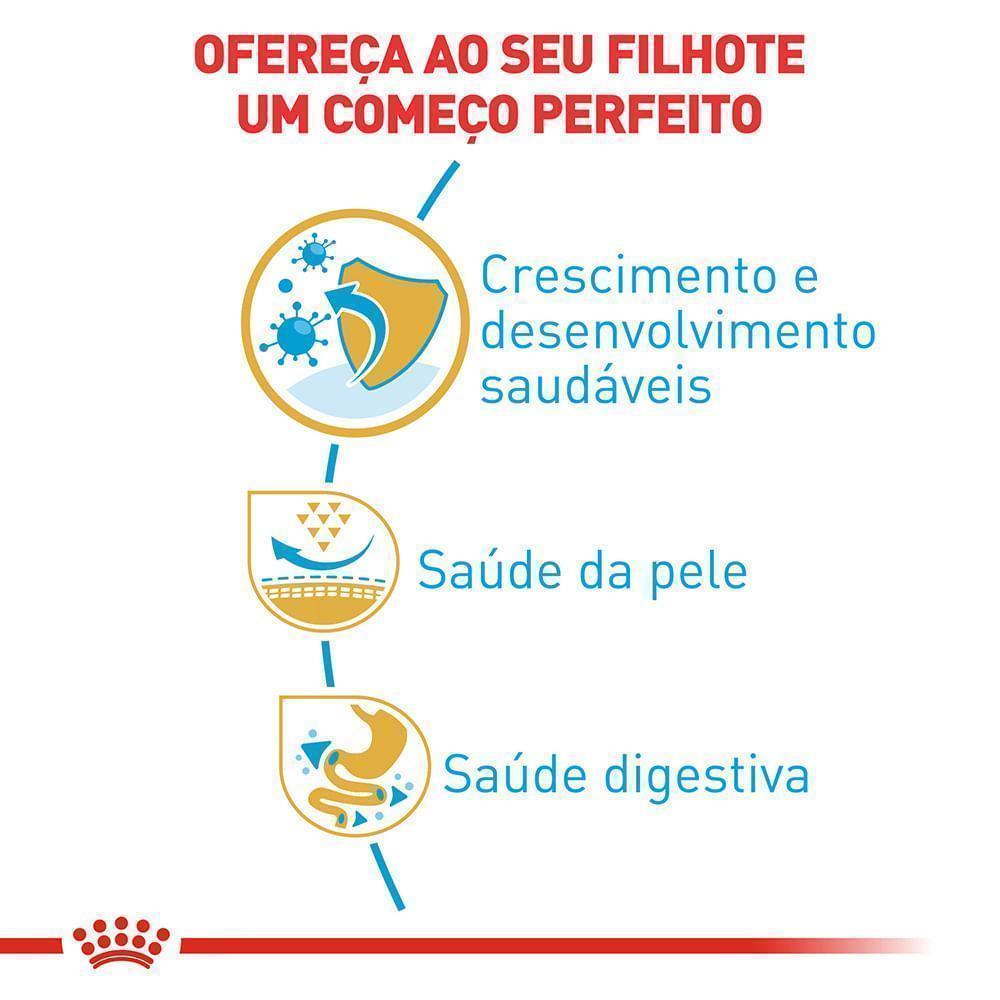 Ração Seca Royal Canin Puppy para Cães Filhotes da Raça Pug - 1 Kg