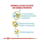 Ração Seca Royal Canin Puppy para Cães Filhotes da Raça Rottweiler - 12 Kg