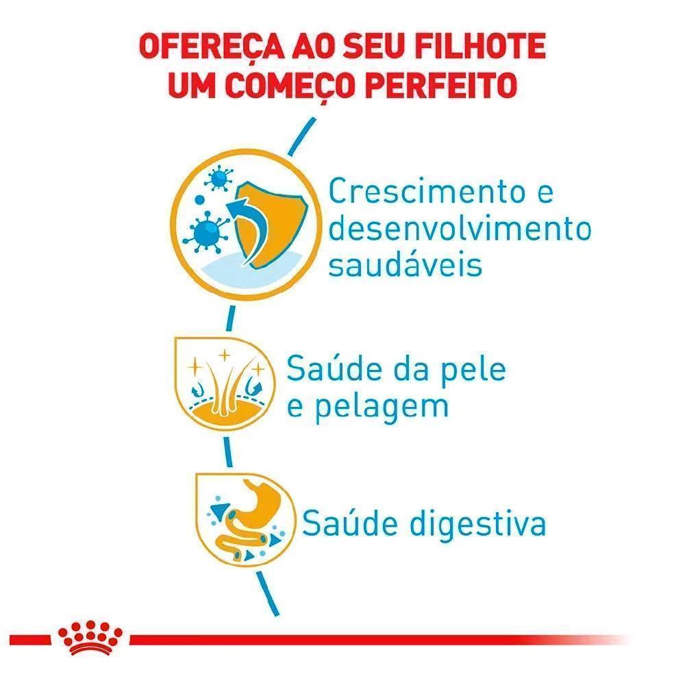 Ração Seca Royal Canin Puppy para Cães Filhotes da Raça Shih Tzu - 1 Kg