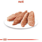 Ração Úmida Royal Canin Sachê Cuidado Digestivo para Cães Adultos - 85 g