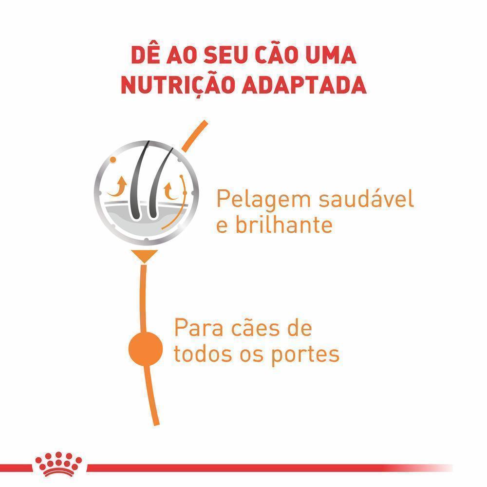 Ração Úmida Royal Canin Sachê Coat Beauty para Cães Adultos - 85 g