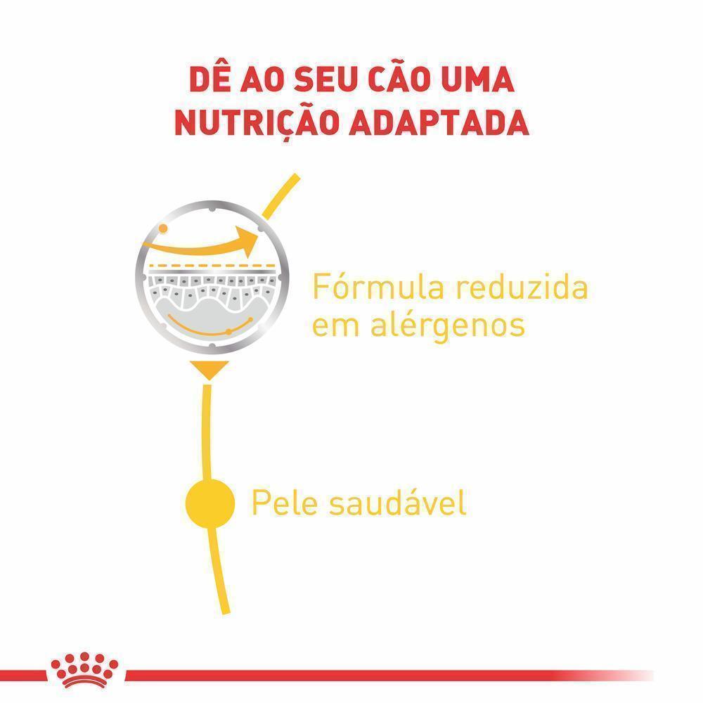 Ração Úmida Royal Canin Sachê Dermacomfort para Cães Adultos - 85 g
