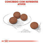 Ração Seca Royal Canin Cuidado Digestivo para Cães Adultos de Porte Mini a partir de 10 meses de idade - 2,5 Kg
