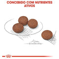 Ração Seca Royal Canin Mini Cuidado Digestivo para Cães Adultos de Porte Pequeno a partir de 10 meses de idade - 1 Kg