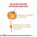Ração Seca Royal Canin Cuidado da Pelagem para Cães Adultos de Porte Pequeno a partir de 10 meses de idade - 2,5 Kg