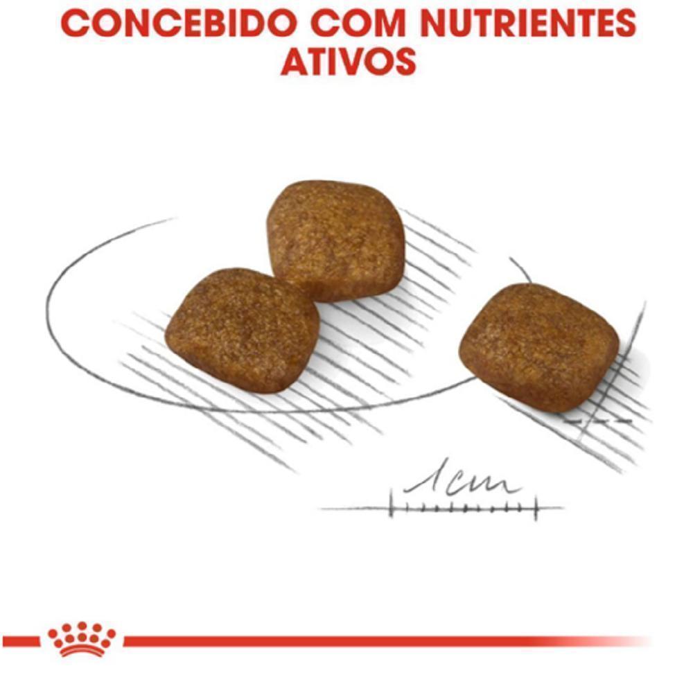 Ração Seca Royal Canin Cuidado da Pelagem para Cães Adultos de Porte Pequeno a partir de 10 meses de idade - 2,5 Kg