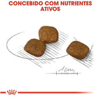 Ração Seca Royal Canin Cuidado da Pelagem para Cães Adultos de Porte Pequeno a partir de 10 meses de idade - 2,5 Kg
