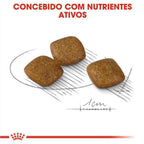Ração Seca Royal Canin Relax Care para Cães Adultos de Porte Mini a partir de 10 meses de idade - 2,5 Kg