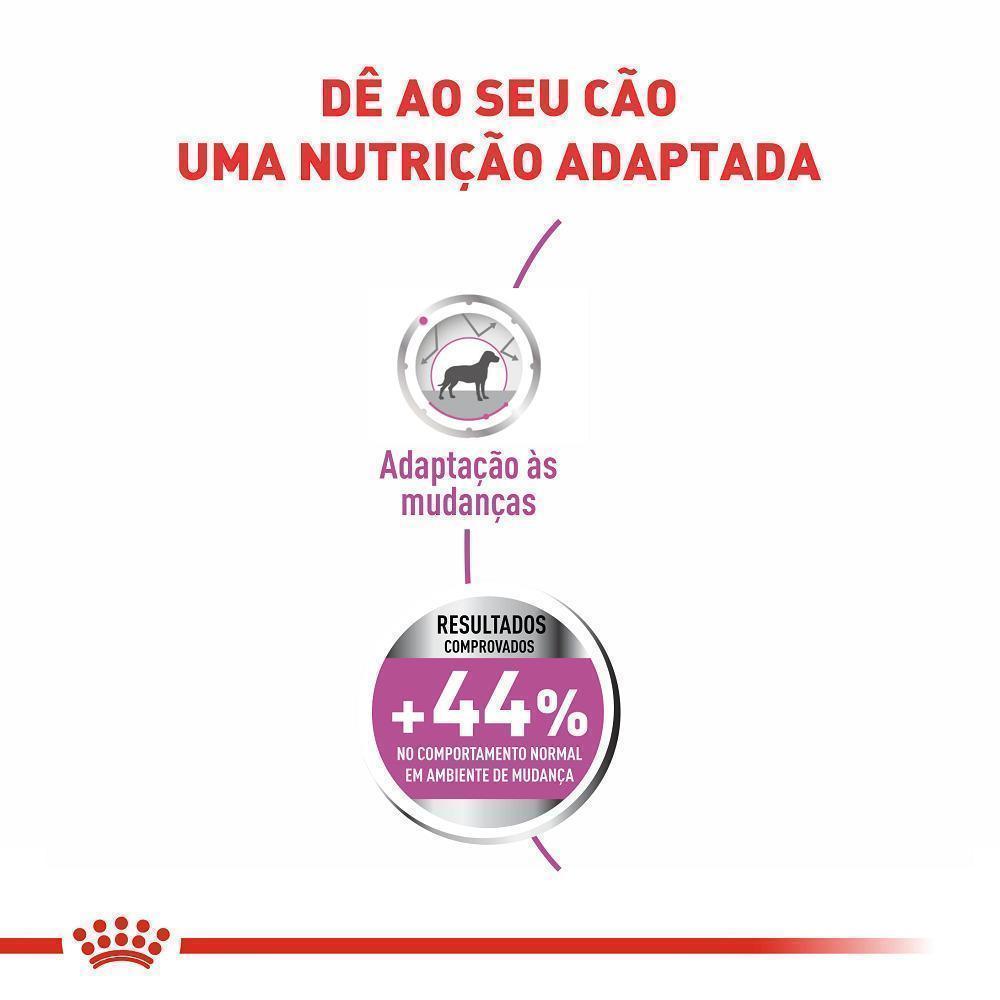 Ração Seca Royal Canin Relax Care para Cães Adultos de Porte Mini a partir de 10 meses de idade - 2,5 Kg