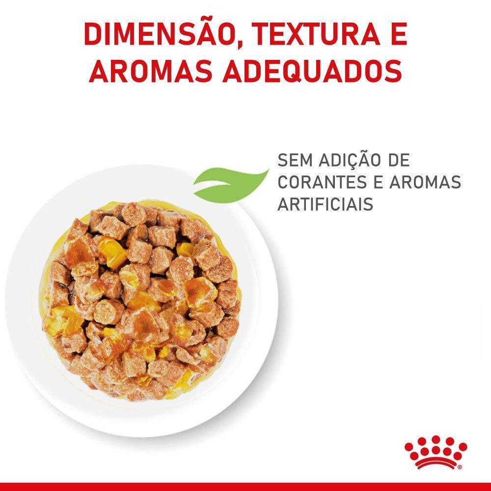 Ração Úmida Royal Canin Sachê Jelly para Gatos Adultos Castrados - 85 g