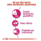 Ração Seca Royal Canin Exigent para Gatos Adultos com Paladar Exigente - 10,1 Kg