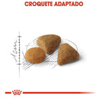 Ração Seca Royal Canin Exigent para Gatos Adultos com Paladar Exigente - 10,1 Kg