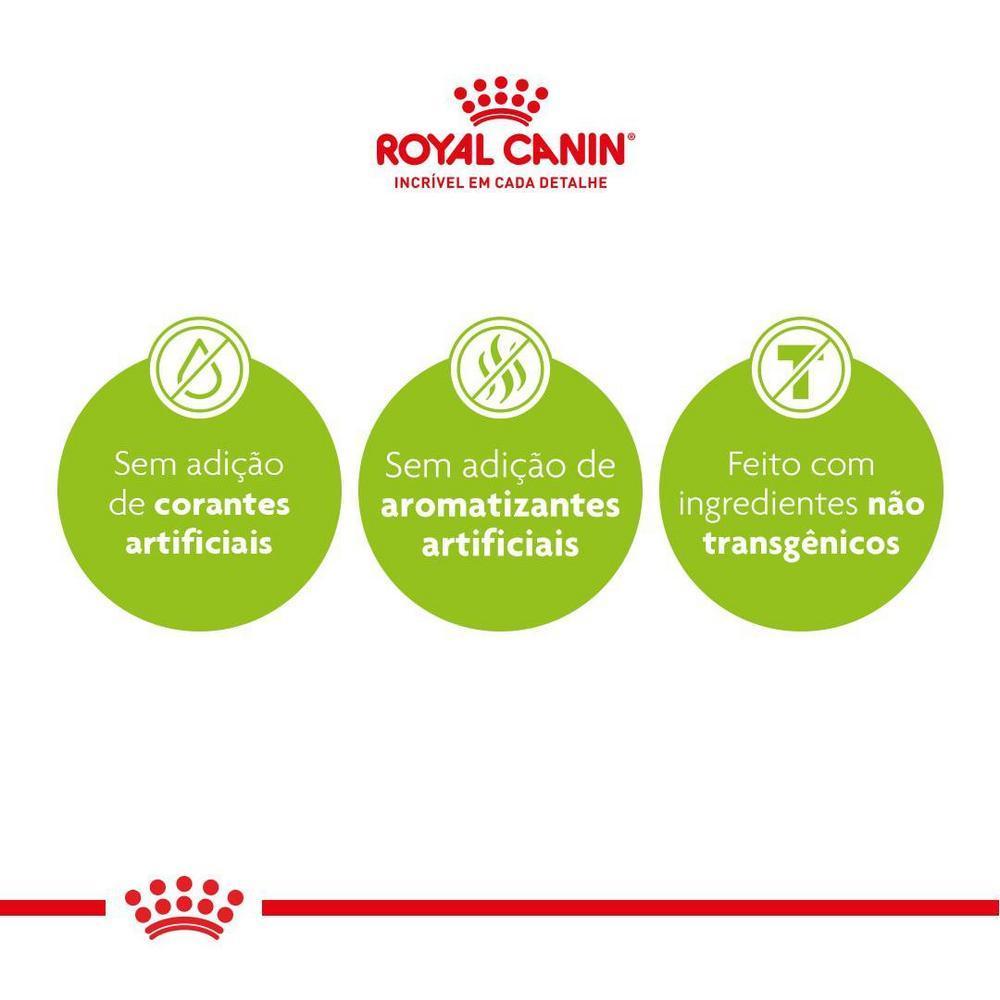 Ração Seca Royal Canin Mother & Babycat para Gatas gestantes/lactantes e Gatos Filhotes de 1 a 4 Meses de Idade - 4 Kg