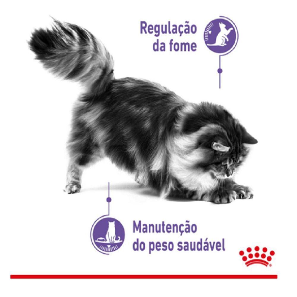 Ração Úmida Royal Canin Sachê Controle do Apetite para Gatos Adultos - 85 g