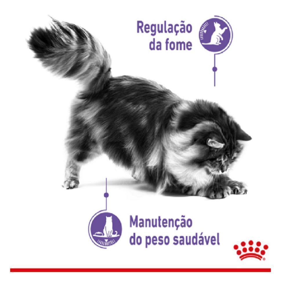 Ração Úmida Royal Canin Sachê Controle do Apetite para Gatos Adultos - 85 g