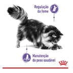 Ração Úmida Royal Canin Sachê Controle do Apetite para Gatos Adultos - 85 g