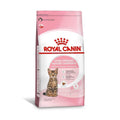 Ração Seca Royal Canin para Gatos Filhotes Castrados de 6 a 12 meses - 4 Kg