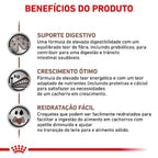 Ração Seca Royal Canin Veterinary Diet Gastrointestinal Puppy para Cães Filhotes com Sensibilidades Gastrointestinais- 2 Kg