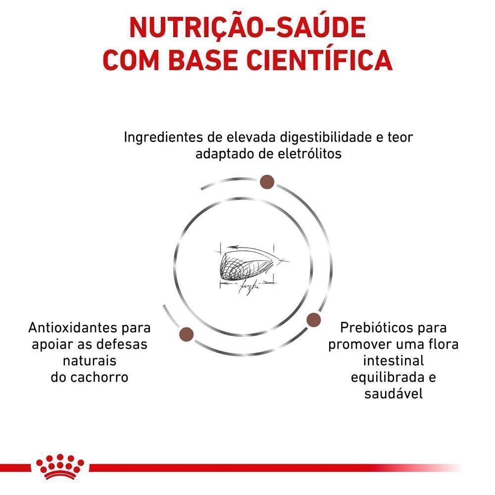 Ração Seca Royal Canin Veterinary Diet Gastrointestinal Puppy para Cães Filhotes com Sensibilidades Gastrointestinais- 2 Kg