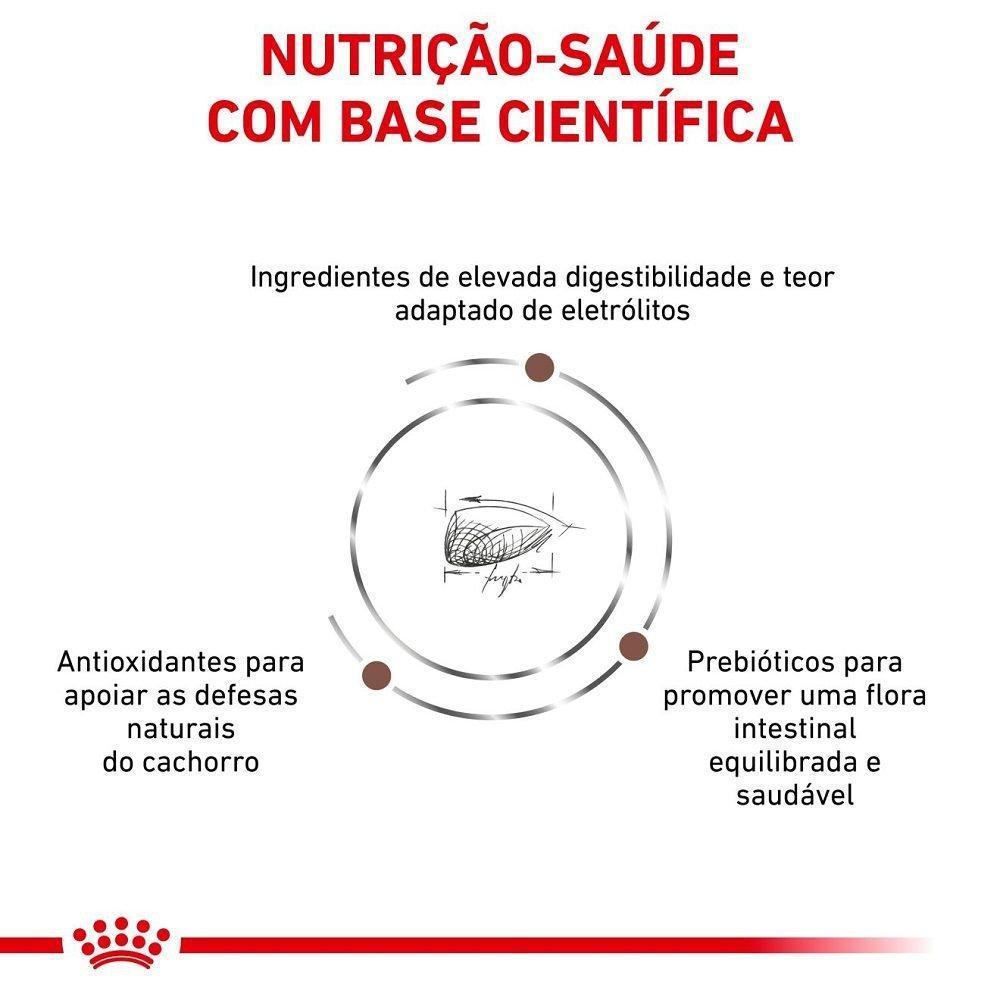 Ração Seca Royal Canin Veterinary Diet Gastrointestinal Puppy para Cães Filhotes com Sensibilidades Gastrointestinais- 2 Kg