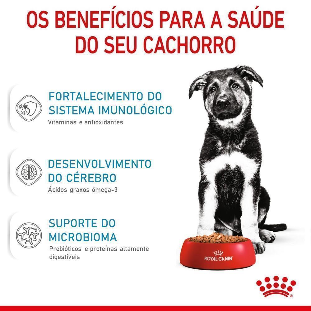Ração Seca Royal Canin Maxi Puppy para Cães Filhotes de Porte Grande - 4 Kg