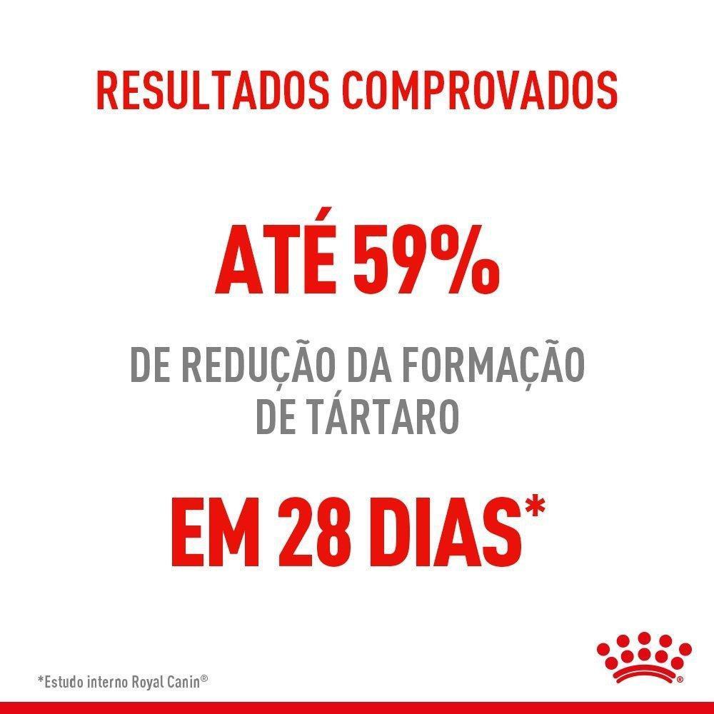 Ração Seca Royal Canin Dental Care para Gatos Adultos - 1,5 kg