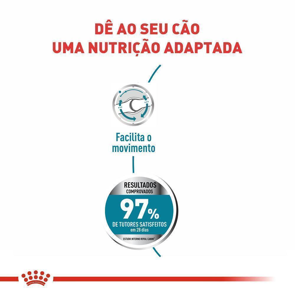 Ração Seca Royal Canin Maxi Cuidado Articular para Cães Adultos de Porte Grande - 10,1 Kg