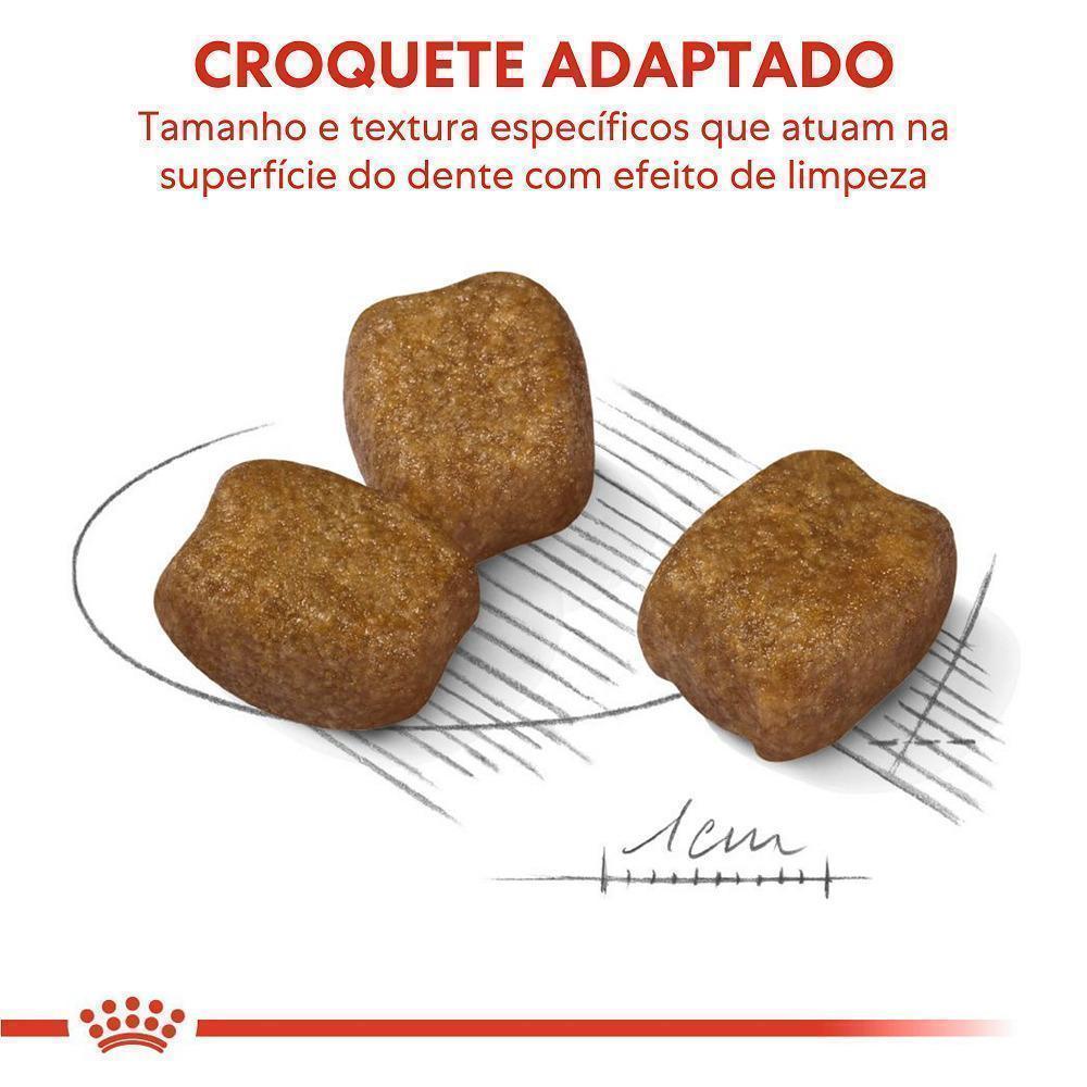 Ração Seca Royal Canin Mini Cuidado Dental para Cães Adultos de Porte Pequeno - 2,5 Kg