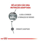 Ração Seca Royal Canin Mini Cuidado Dental para Cães Adultos de Porte Pequeno - 2,5 Kg